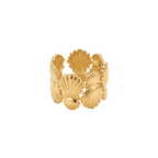 Anillo ancho de acero inoxidable con baño de oro de 18k PVD y diseño de conchas marinas en relieve hecho en Bélgica.