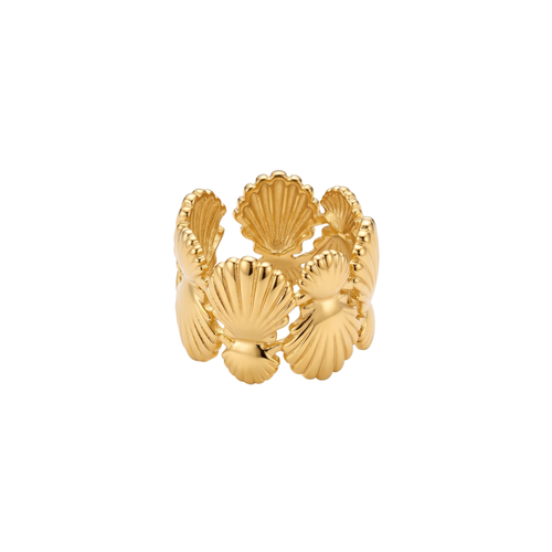 Anillo ancho de acero inoxidable con baño de oro de 18k PVD y diseño de conchas marinas en relieve hecho en Bélgica.