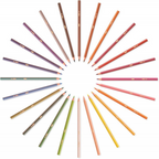 LAPIZ BIC STRIPES12 COLORES
