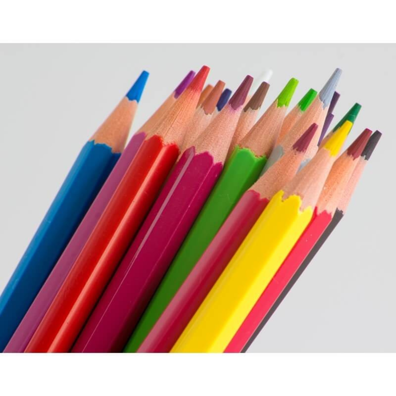 LAPIZ ALPINO 12 COLORES